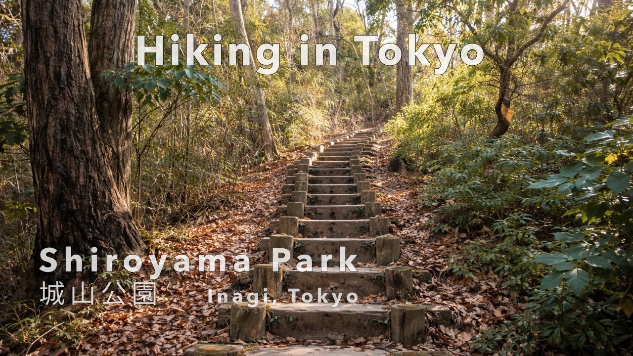 Hiking in Tokyo — An Unexpected Trail at Shiroyama Park | 城山公園 | Inagi, Tokyo (4K UHD)
