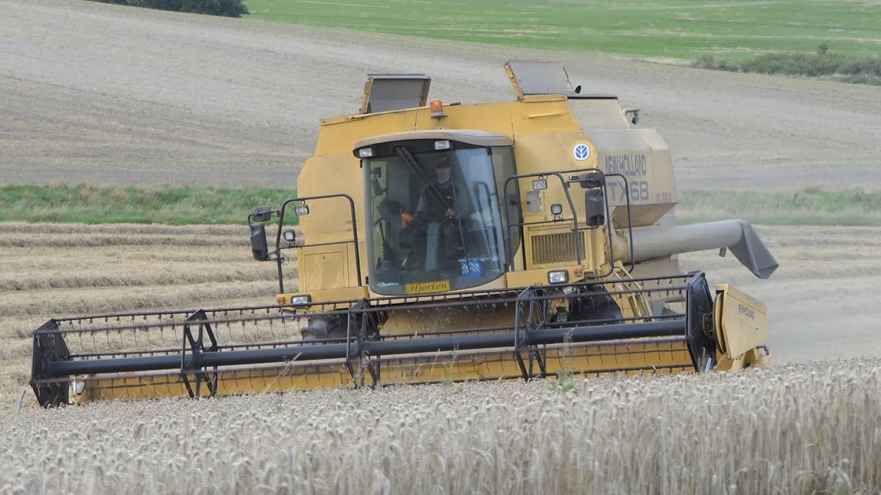 New Holland TX68 in the field harvesting wheat before the sunset | Harvest Season 2021