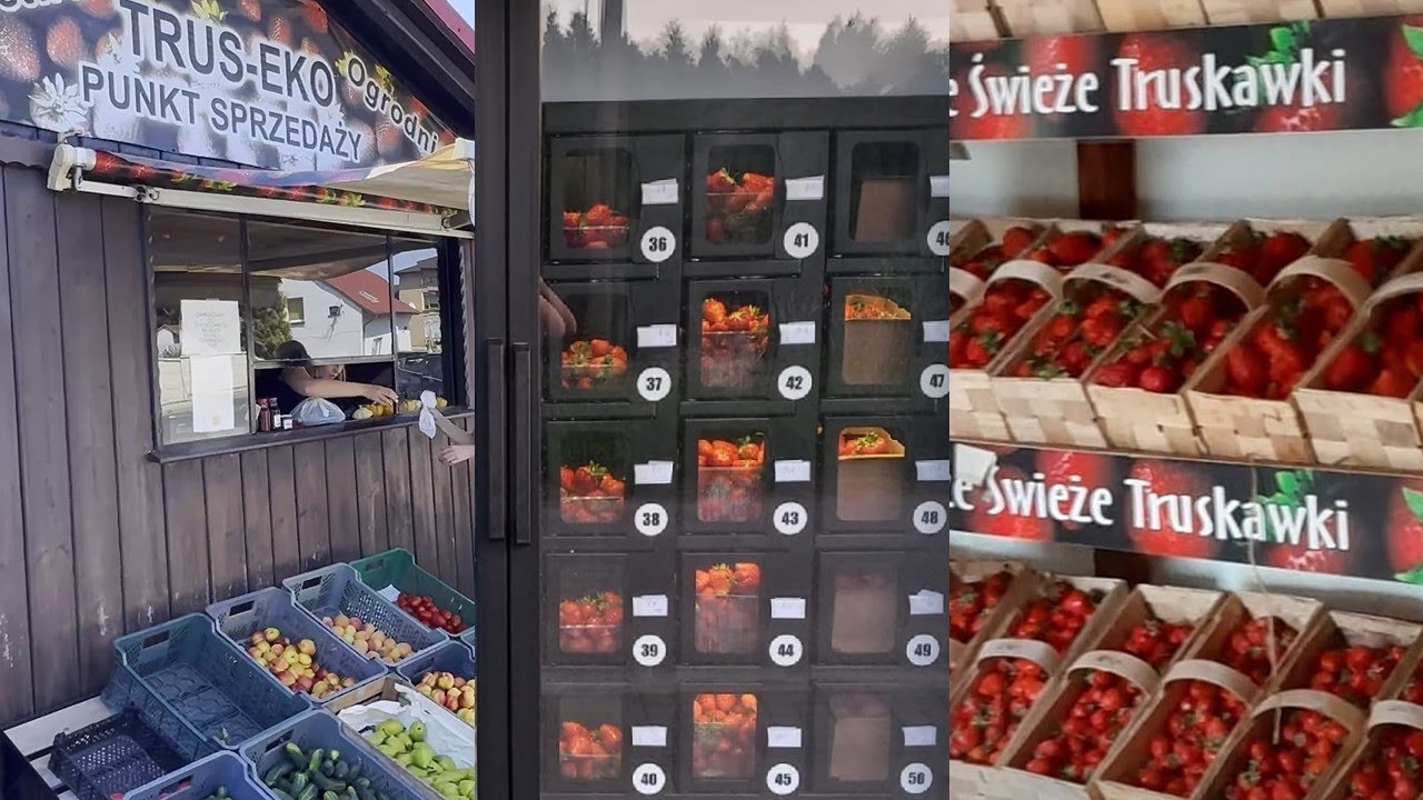 Jak sprzedawać owoce i warzywa w nowoczesny sposób? Owocomat w Trus-Ekko. Część I