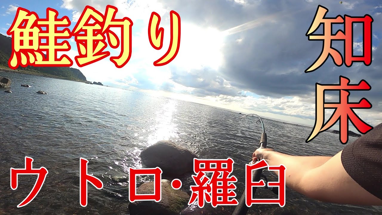 【鮭釣り】2025アキアジ釣り！知床ウトロ　羅臼の鮭調査！
