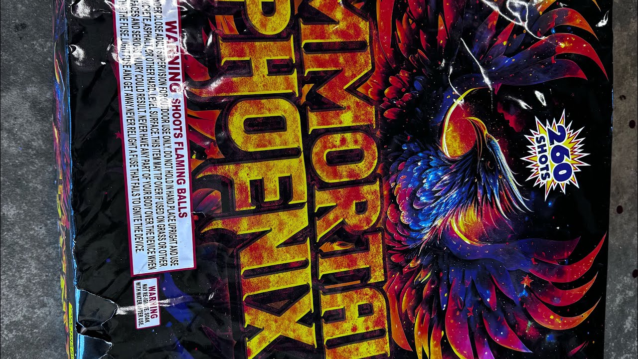 IMMORTAL PHOENIX 260 shot firework cake 🔥🔥💥🧨 VERY NICE!!