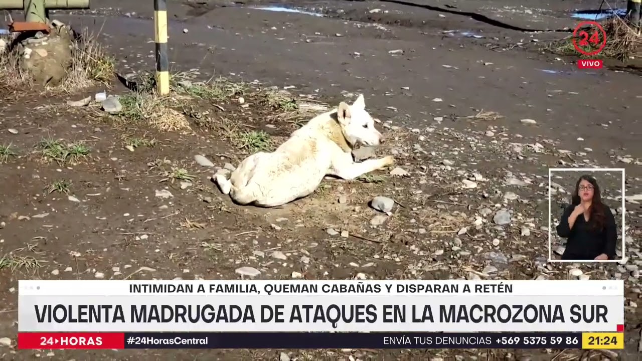 Violenta madrugada de ataques en la Macrozona sur