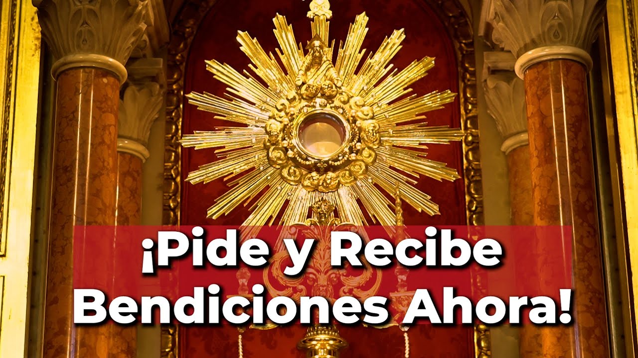 Oraciones para GRACIAS, MILAGROS y NECESIDADES ❤️ Sagrado Coraz&oacute;n de Jes&uacute;s - Alimento de Fe