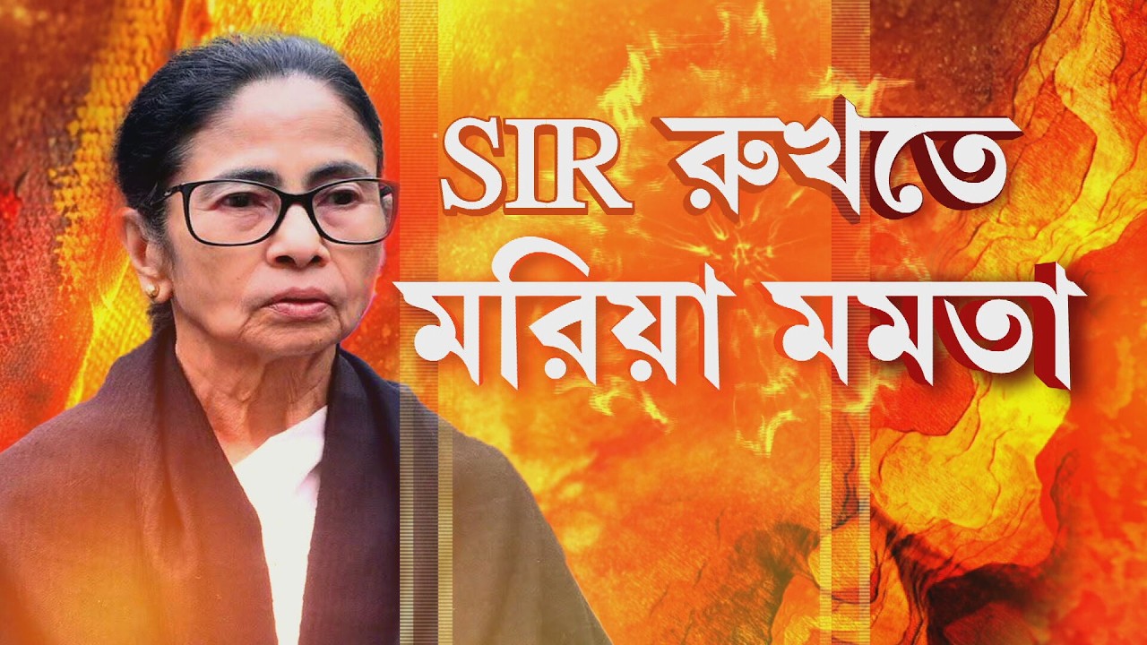 সুপ্রিম কোর্টে শুরু SIR মামলার শুনানি। শুনানিতে নেই মমতা ব্যানার্জি