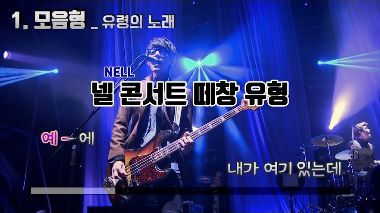 [NELL] 넬 콘서트 떼창 유형 (1) 모음형