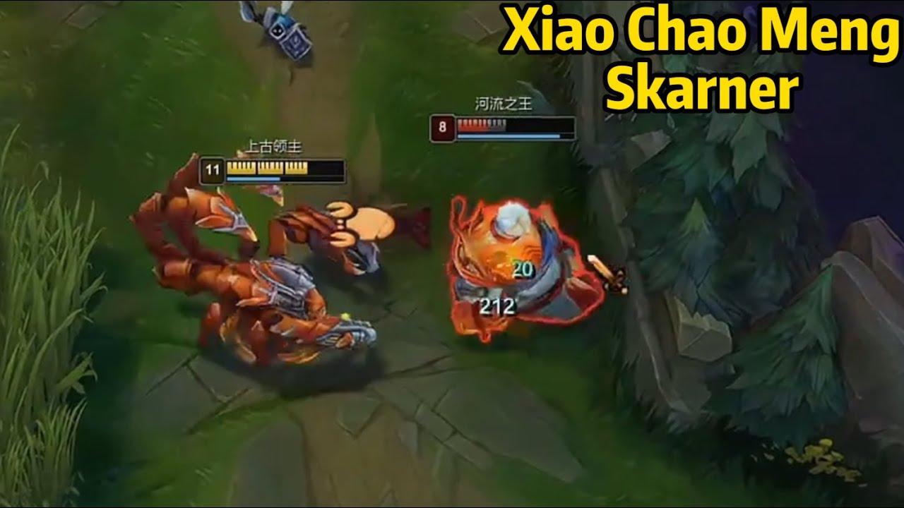 Xiao Chao Meng Skarner: New Skarner Top is so STRONG!