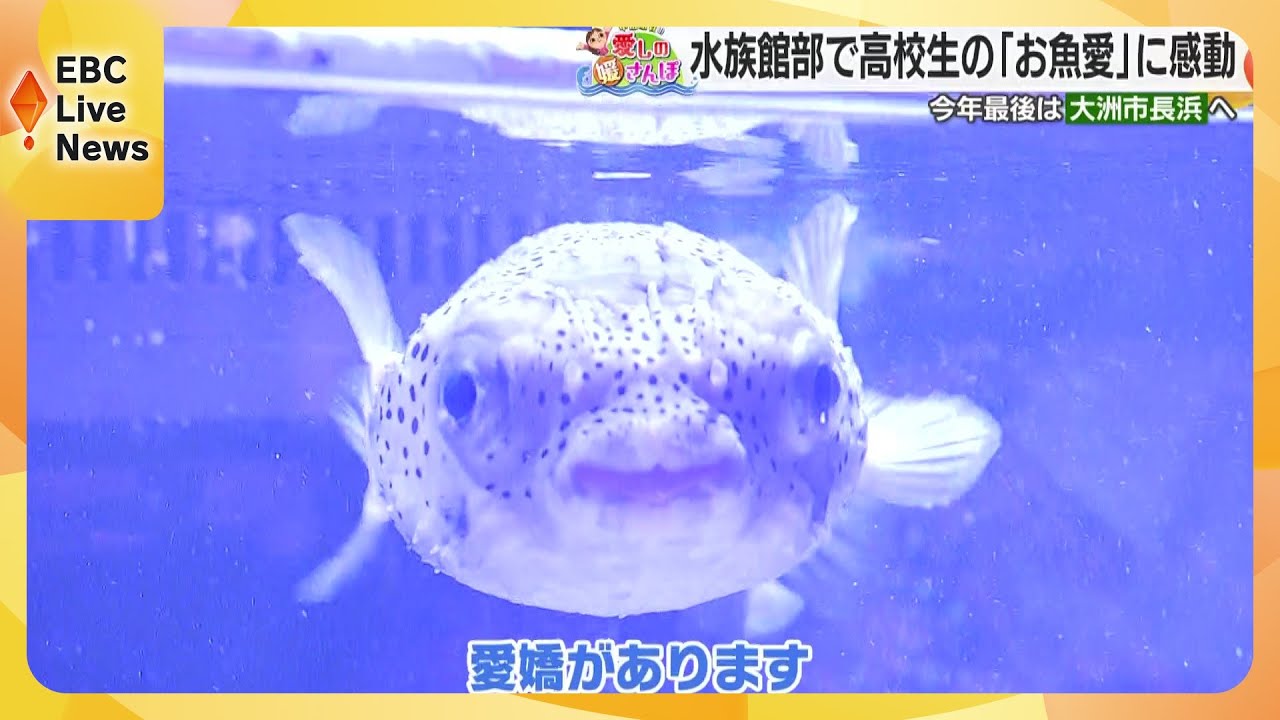 【媛さんぽ】大洲市長浜でお魚愛あふれる高校生と冬の焼き干し鮎