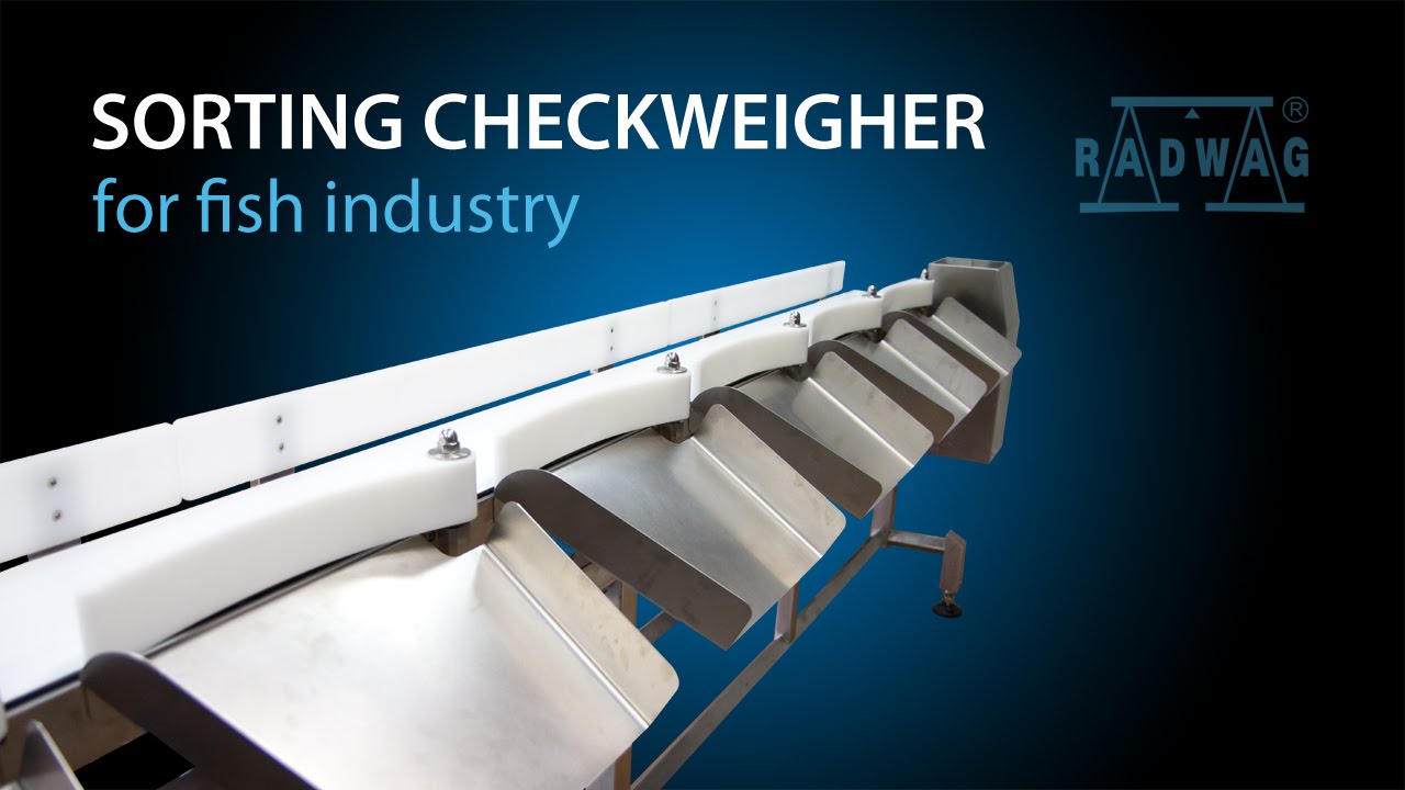 Sorting checkweigher for fish industry