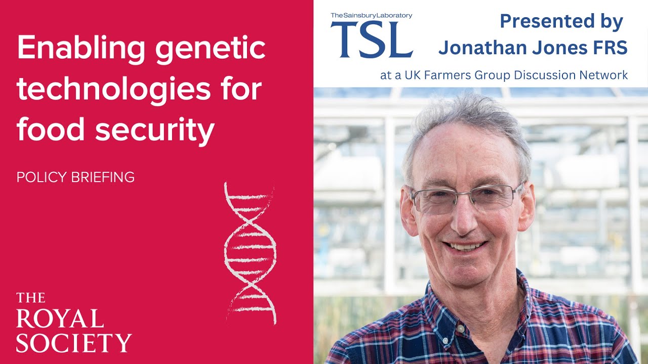 Evidence-led GM crop regulation could help UK lead on tackling global food security
