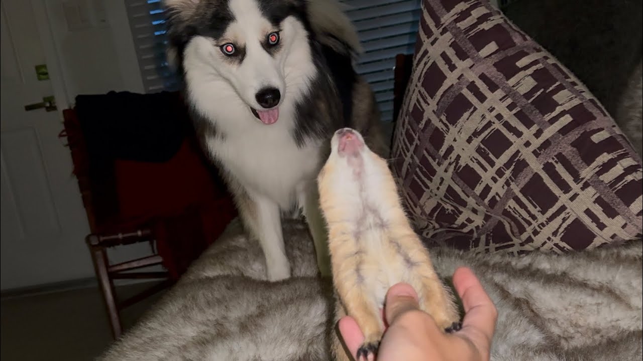 Friday night Party animals 🥳❤️🤣