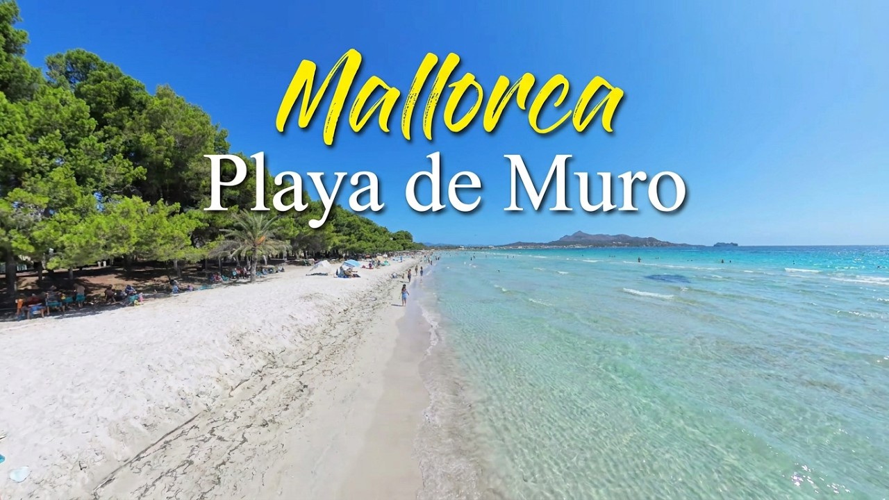 Is THIS Mallorca&rsquo;s Best Beache? | Playa de Muro