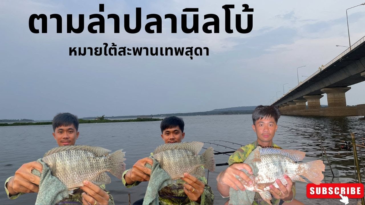 EP.60ตามล่าหาปลานิลโบ้เขื่อนลำปาว หมายใต้สะพานเทพสุดา #fishing #ตกปลา #ปลา #เขื่อนลำปาว #fish