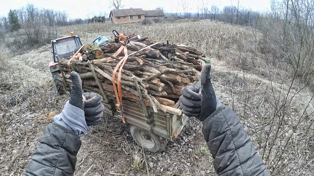 Radovi na Salašu - Utovar drva *počeo sneg