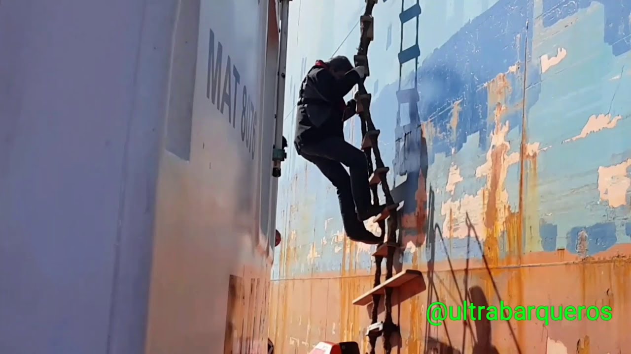 Bulk Carrier Ship 