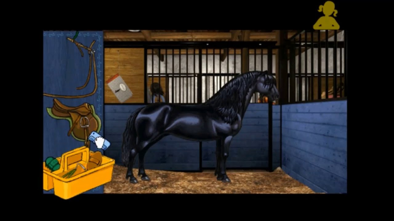 Let's Ride: Horse and Pony (PART 1) - Beginners' Course