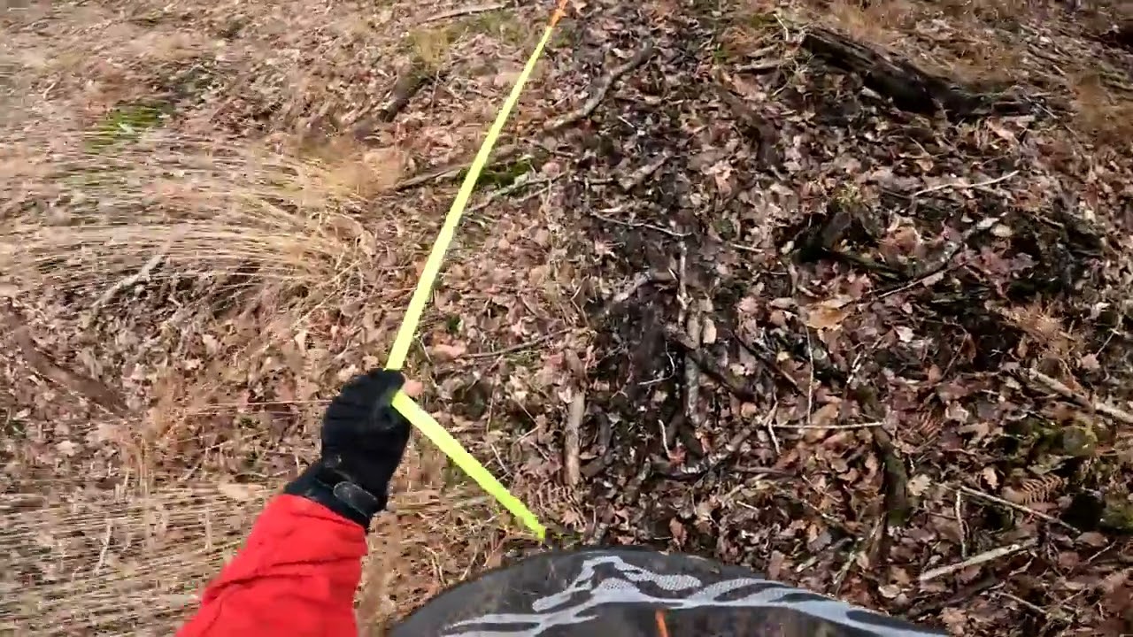 recherche de RED en forêt de LANOUEE le  26 février 2024