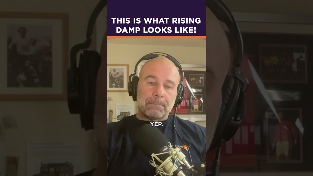 This Is What Rising Damp Looks Like #shorts