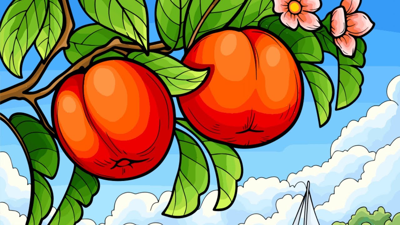 Color by Number | Beautiful Peach Tree in Bloom 🍑🎨