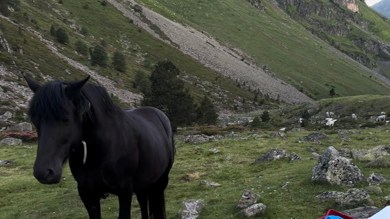 My Pyrénées Hike2025🥾🎒STAGE (5)