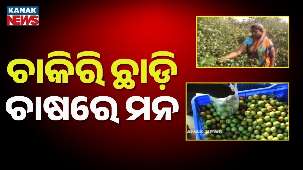 Dhenkanal’s Ajit Earns Lakhs with Dragon Fruit & Thailand Apple Ber