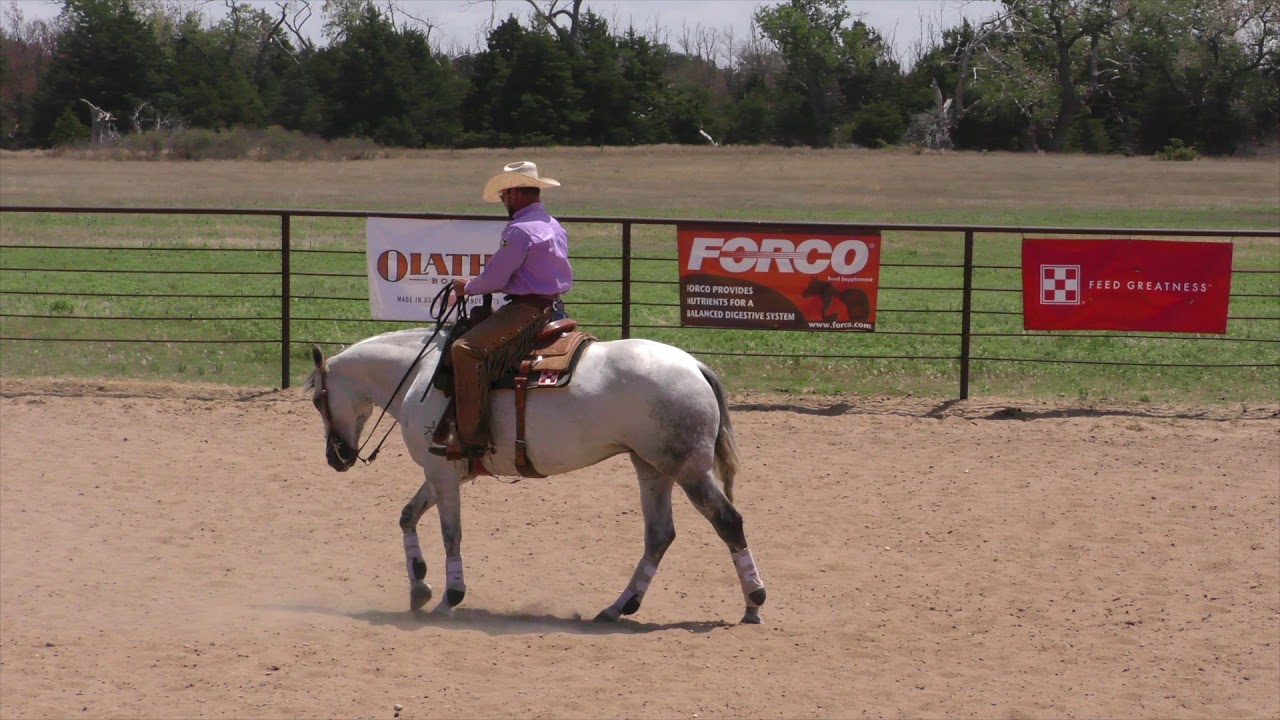 Transitions to One Handed Riding(neck rein)