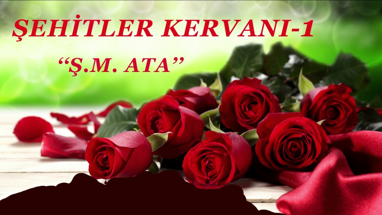 ŞEHİTLER KERVANI 1 - Ş.M.ATA
