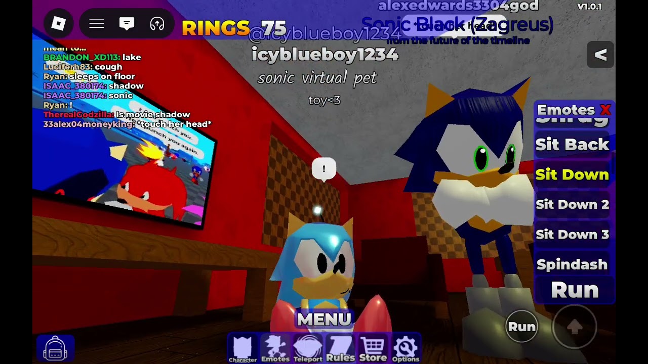 Poly Sonic rp 2