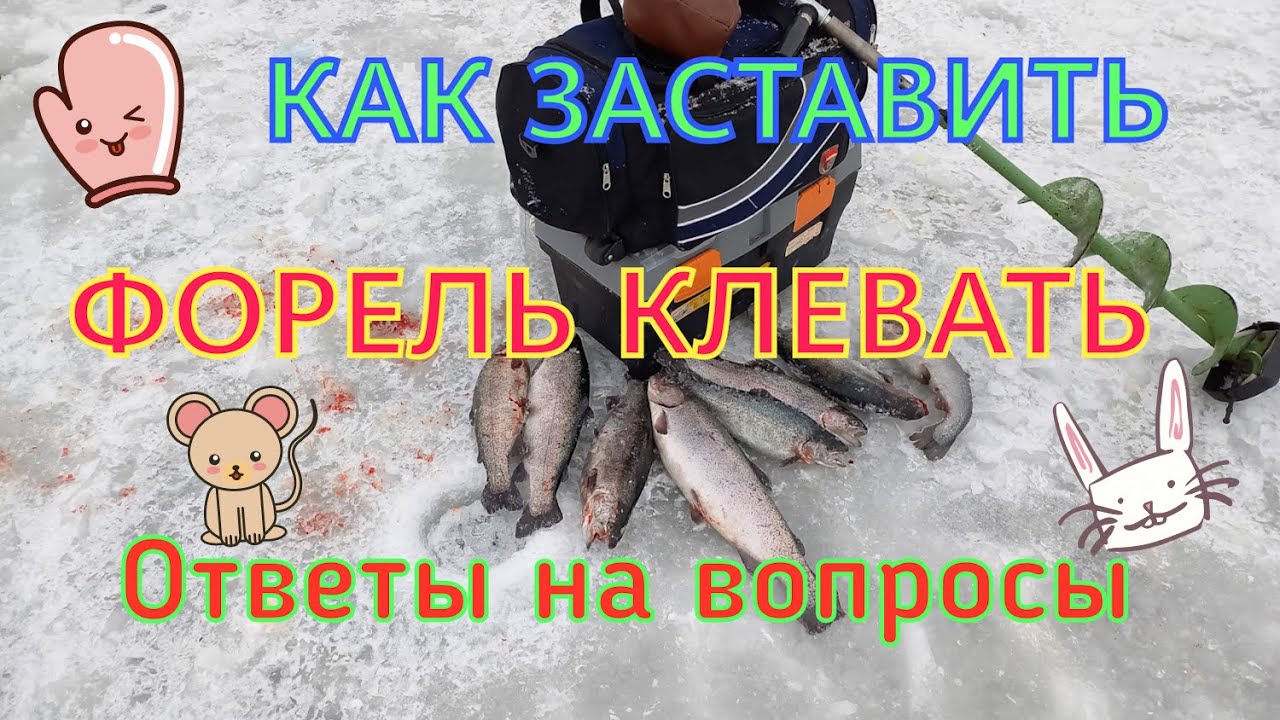 КАК ЗАСТАВИТЬ ФОРЕЛЬ КЛЕВАТЬ. #Форель #ловляфорели#рыбалка