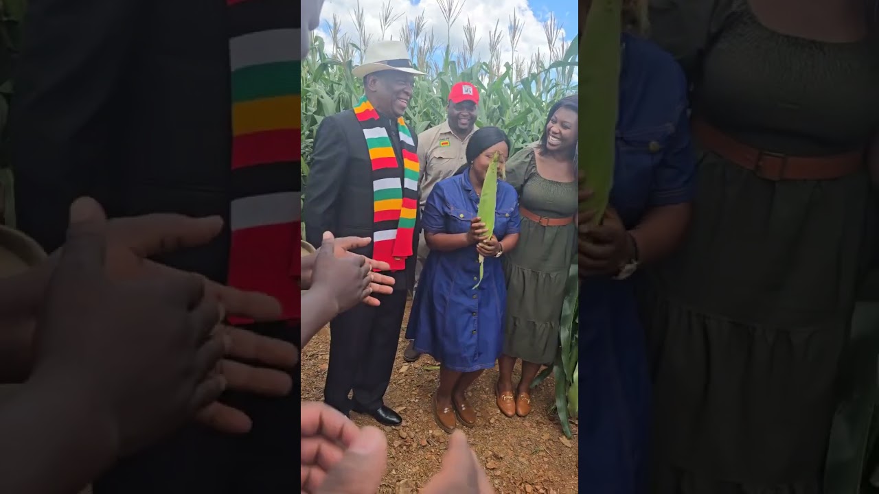 The field tour at Pricabe farm with the Members of Parliament for Zimbabwe