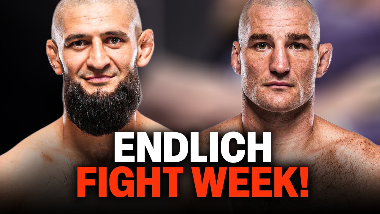 WIE GENIAL IST BITTE UFC 328?! Khamzat Chimaev vs Sean Strickland steht an!