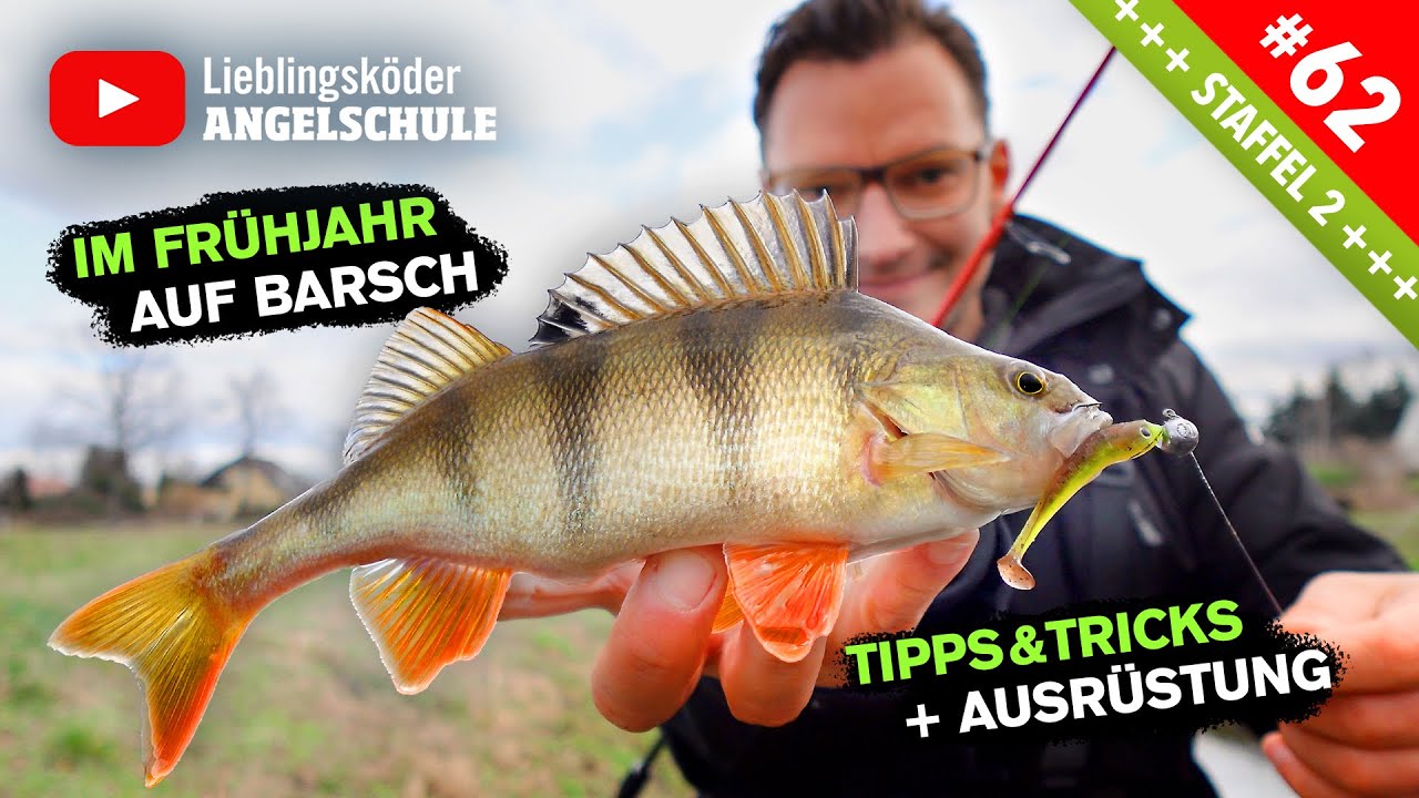 Barsche Angeln im Frühjahr – Tipps, Köder & Angelrute 🎣