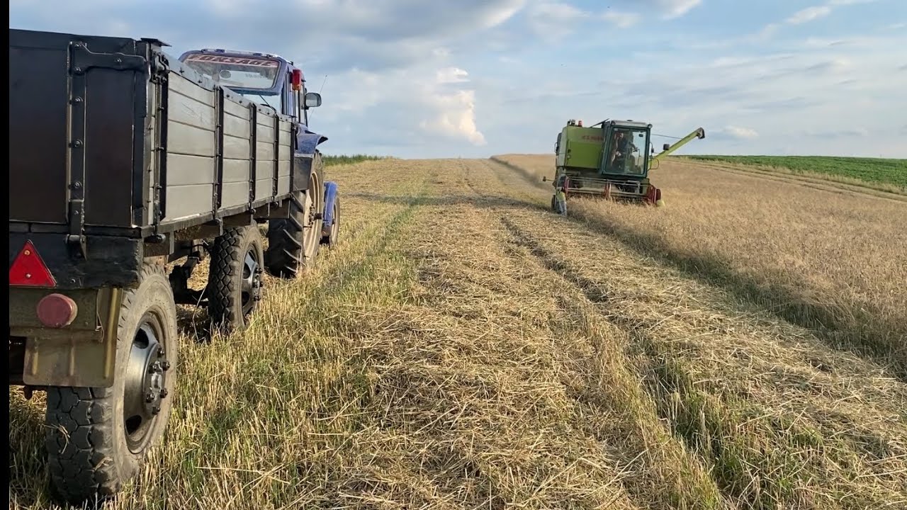 Вигружаєм комбайн на ходу❌ Тестуємо новий причіп🔥Жнива 2025‼️
