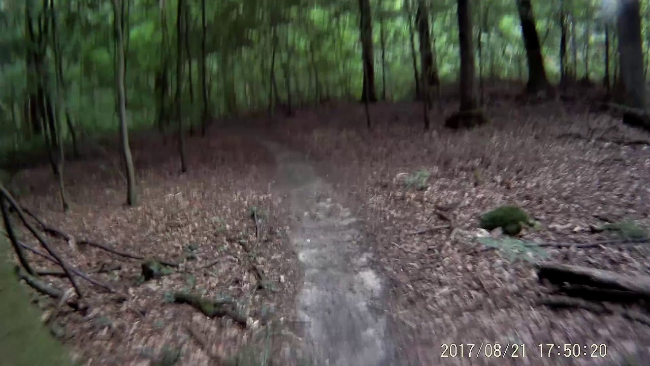 2017 0821 174947 020