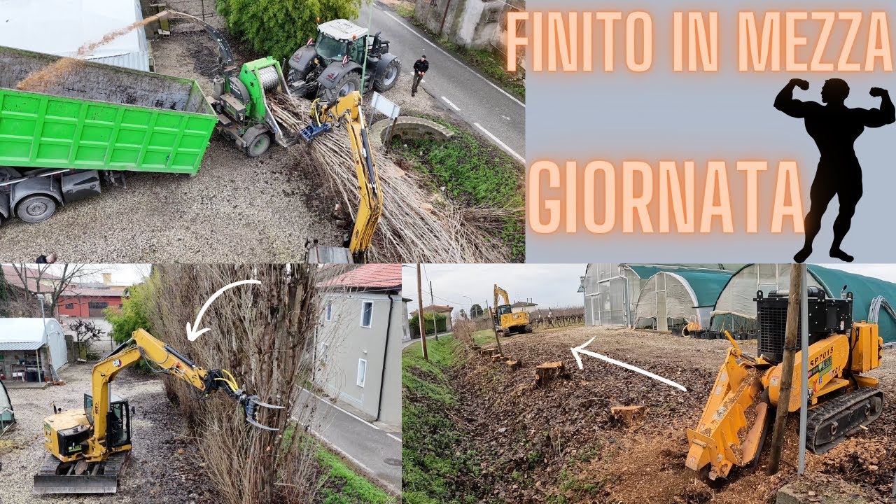 ABBATTIMENTI E CIPPATURA PIOPPI BIANCHI CON CATERPILLAR / FELLING, CHIPPING POPLAR TREES,CATERPILLAR