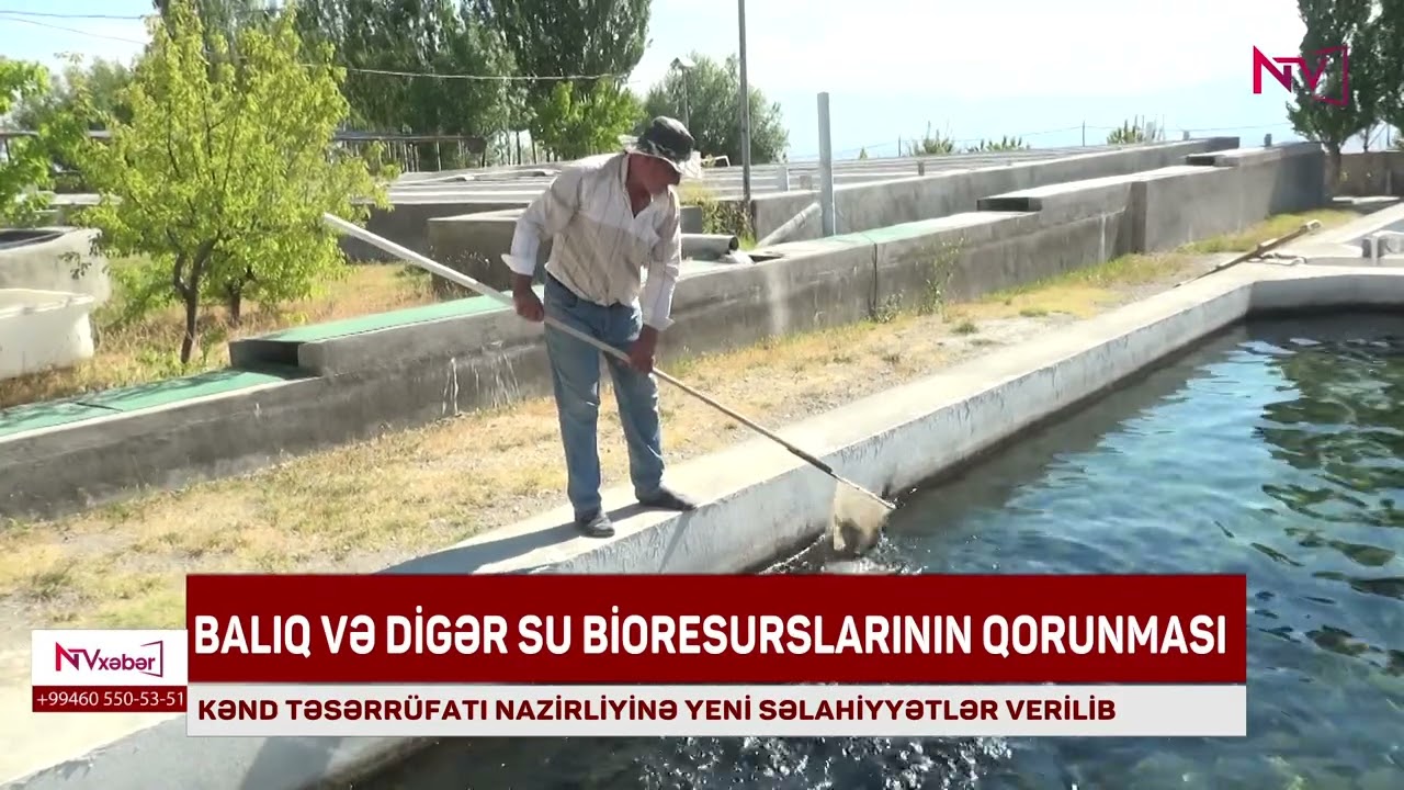 Balıq və su bioresurslarının qorunması Kənd Təsərrüfatı Nazirliyinə həvalə olunub