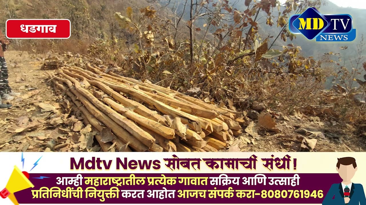 Nandurbar News : धडगावच्या जंगलात वनविभागाची मोठी कारवाई २९ हजारांचे अवैध साग लाकूड जप्त...!