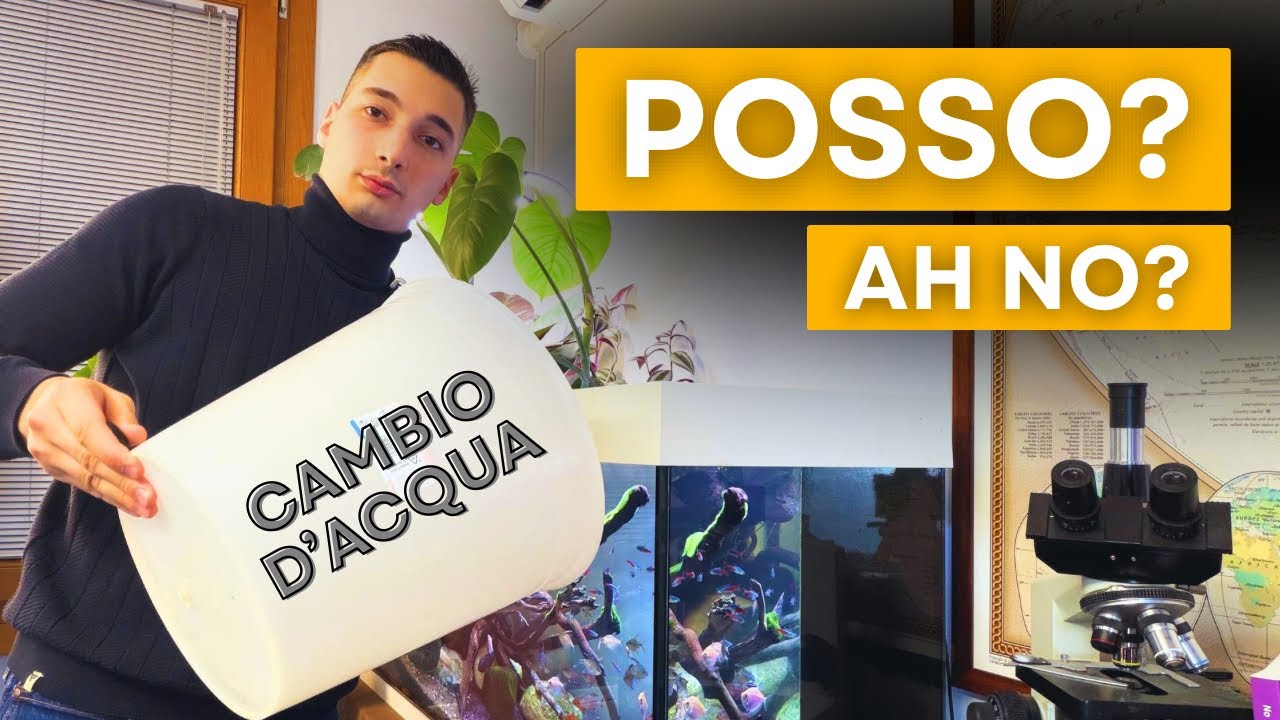 Sì o No al Cambio d’acqua in Maturazione? 💦 Analizziamo 3+1 scenari