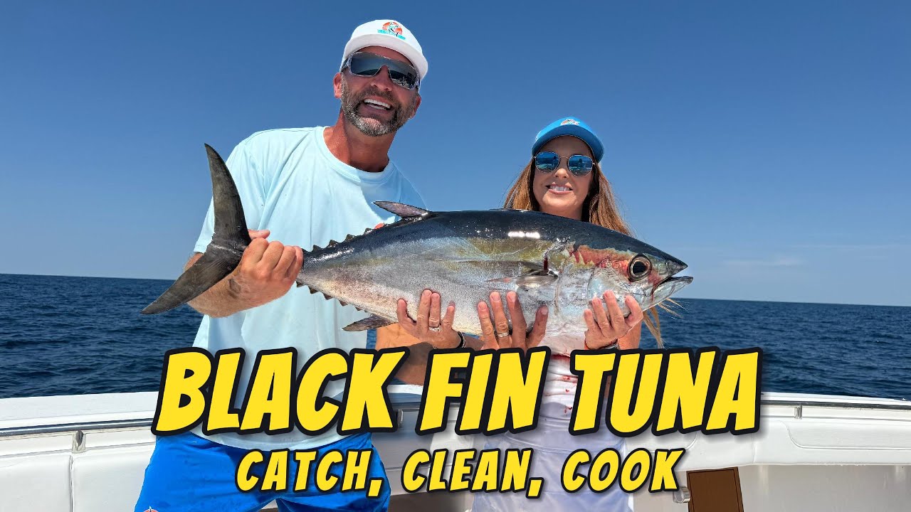 Our First Ever Blackfin Tuna! - Catch Clean Cook-  Destin Florida Fishing