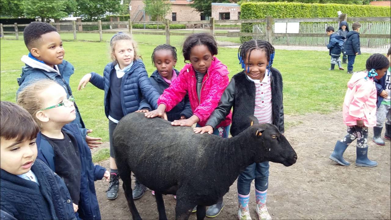Boederij 't Groenhof