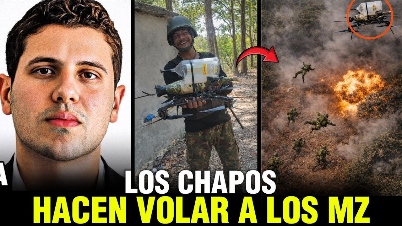 sicarios de 