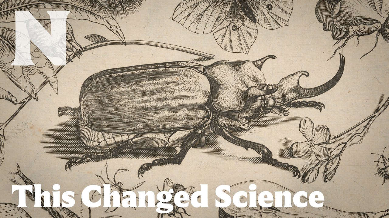 He Painted Bugs Like Jewels — And Changed Science