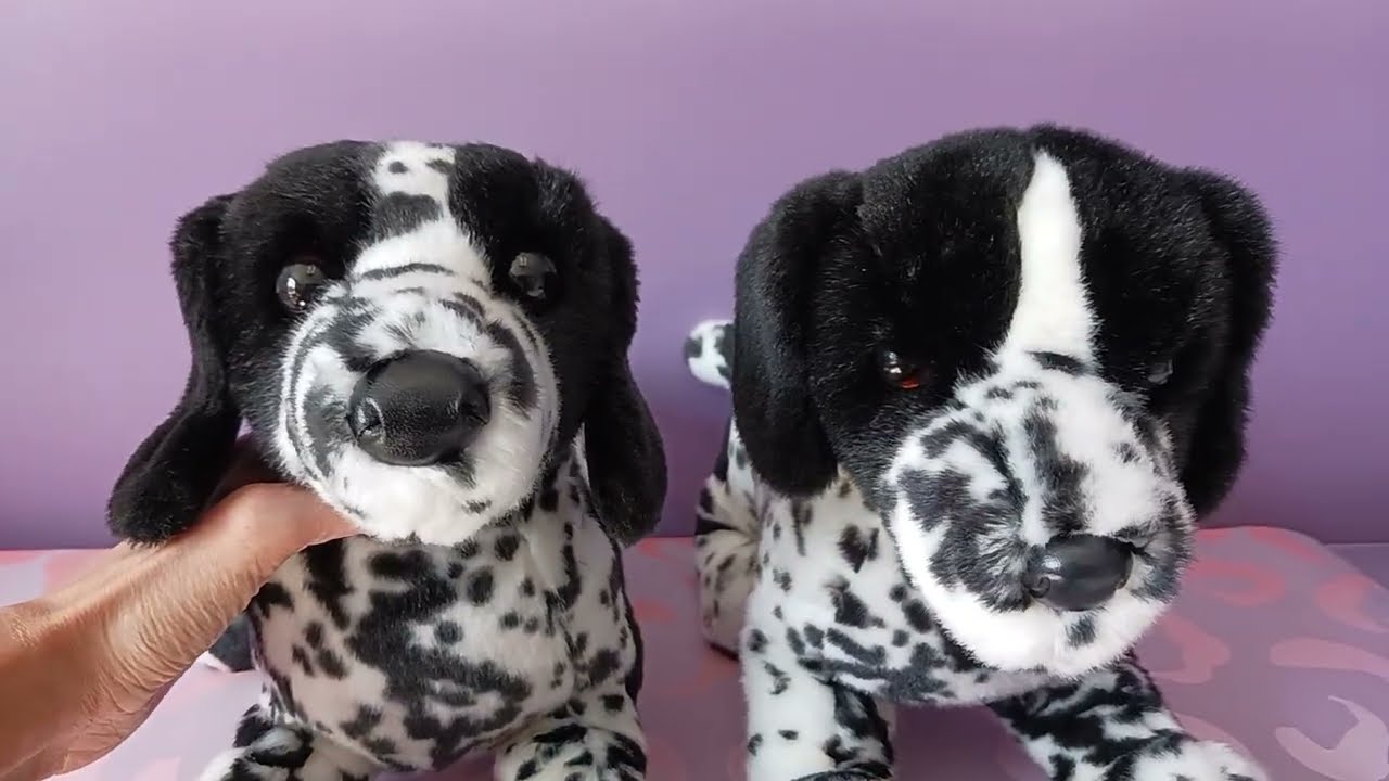 Unboxing Hunter the Pointer Plush Dog by Douglas Cuddle Toys 🖤🤍