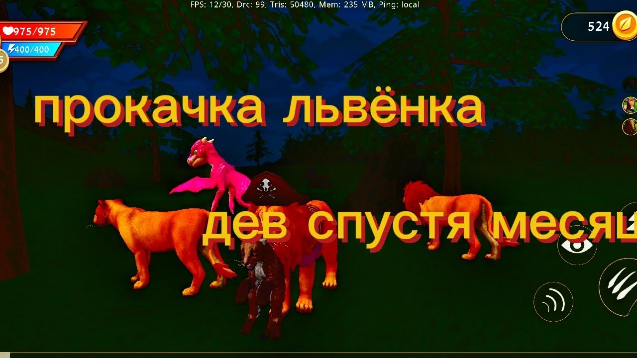 ПРОКАЧКА ЛВËНКА лев спустя мц. 