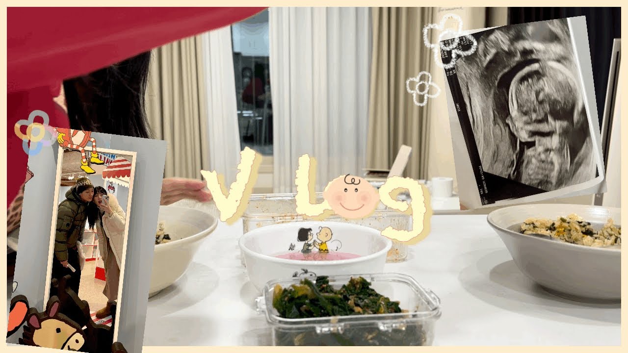 [vlog] 임신 11~17주 일상 브이로그 / 반찬으로 젠더리빌ㅋㅋ / 대학병원 전원, 배뭉침 자궁수축 진단/ 닥터마틴1461실버아카디아