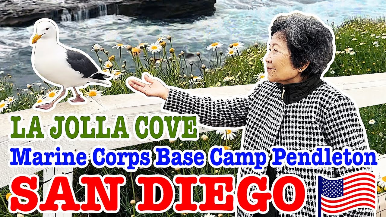 Bà 5 Phi đi biển 🌊San Diego 🦭 La Jolla Cove 🐿️ ngắm máy bay ở Marine Corps Base Camp Pendleton ✈️