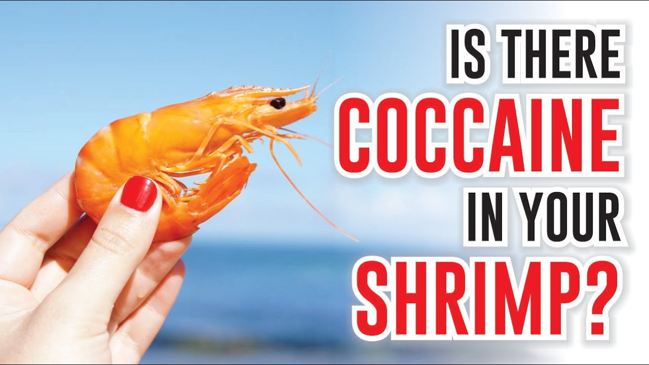 Shrimp are Testing Positive for Cocaine and Scientists dont know why!