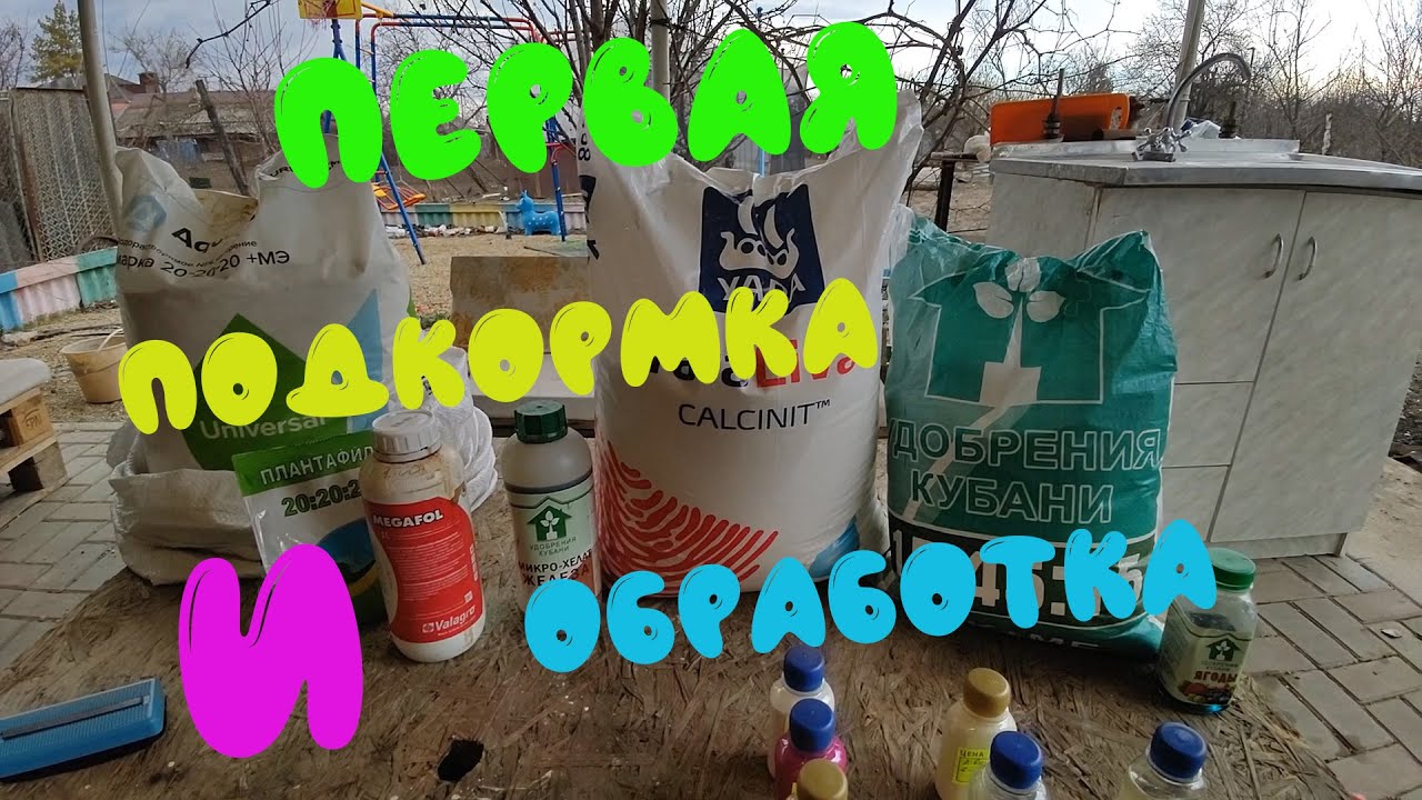 Первая подкормка и обработка (от клеща и гнилей) клубники после зимы.