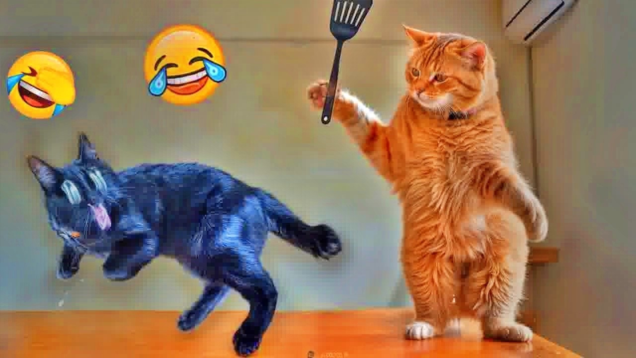 You Laugh You Lose😽Funniest Dogs and Cats 2026😼🐶