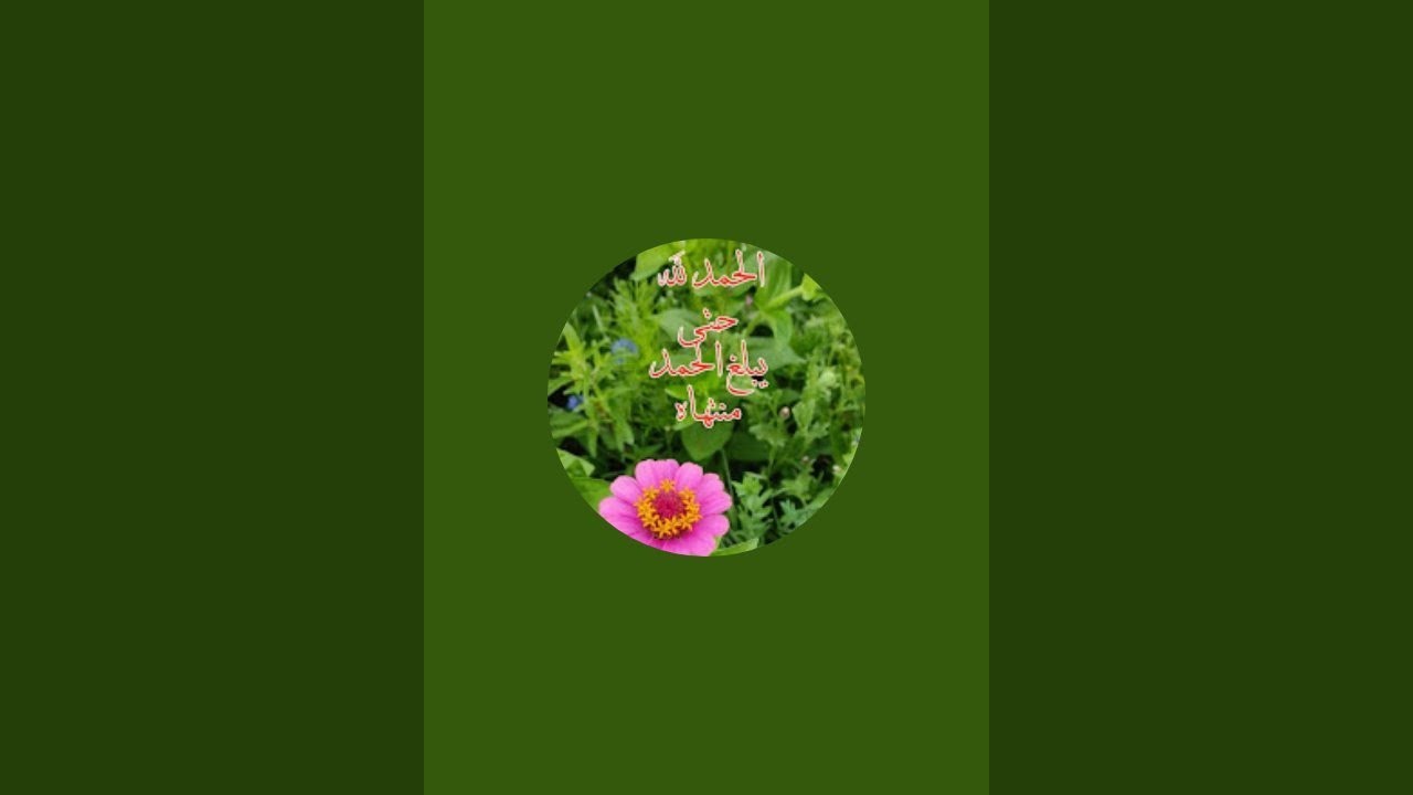 حوض اسماك الزينه مع صوت قرآن راحة نفسية 🥰