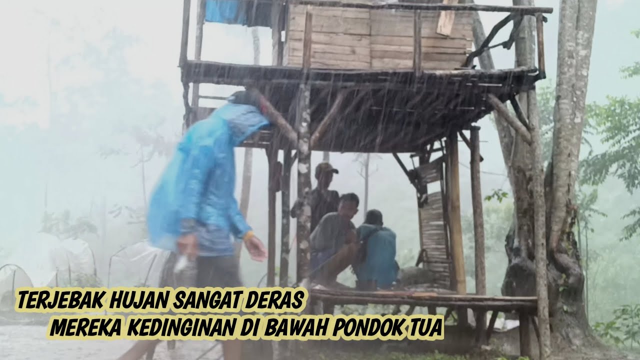 terjebak dalam badai hujan deras -  makan menu lezat sederhana di pondok kebun - ASMR rain montain